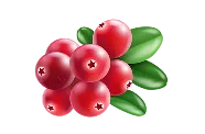 分類 - 虎扑体育yubo