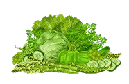 分類 - 虎扑体育yubo
